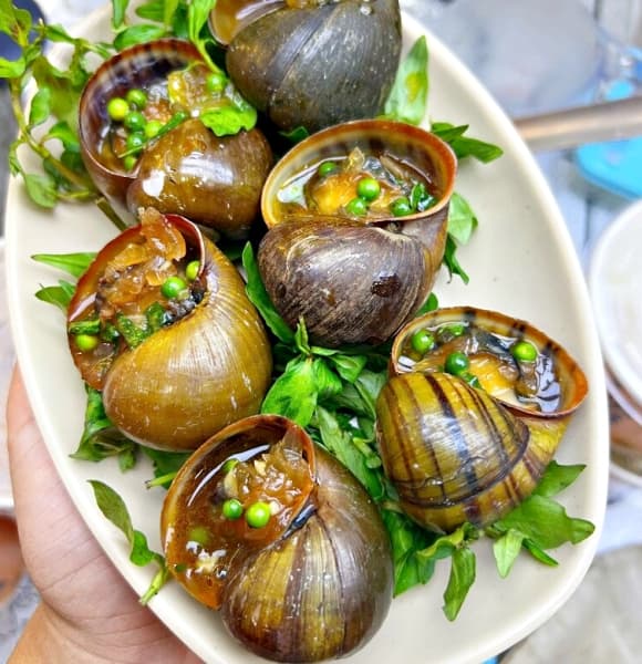 ốc lác, ốc mít