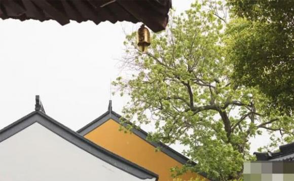 con gái, lấy chồng, kết hôn