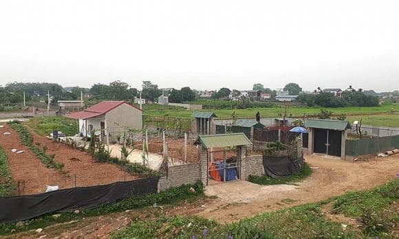 Luật đất đai, quy định xây nhà cấp 4 trên đất nông nghiệp