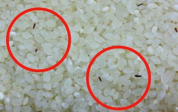 Vị trí ᵭể hũ gạo, phong thuỷ nhà ở
