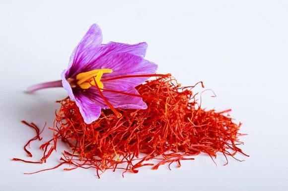 Cây hoa nghệ tây, công dụng của nhuỵ hoa nghệ tây