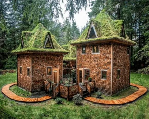 cap-doi10-ngoisaovn-w600-h478 3 cặp đôi, căn nhà, sống trong rừng