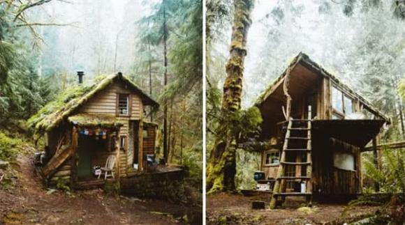 cap-doi6-ngoisaovn-w600-h335 7 cặp đôi, căn nhà, sống trong rừng