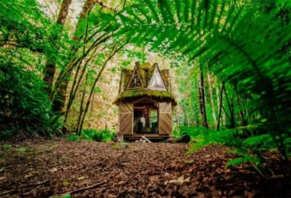 cap-doi8-ngoisaovn-w600-h409 5 cặp đôi, căn nhà, sống trong rừng