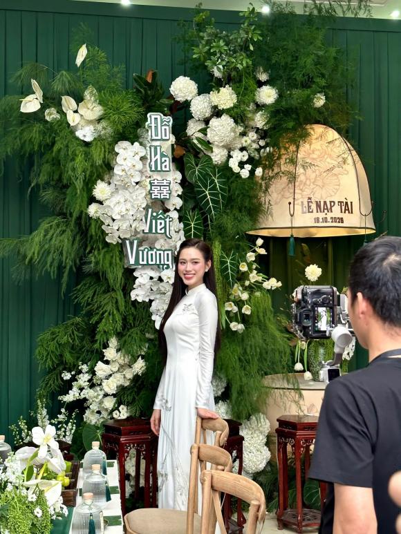 Hoa hậu Đỗ Thị Hà, Đỗ Hà, sao Việt