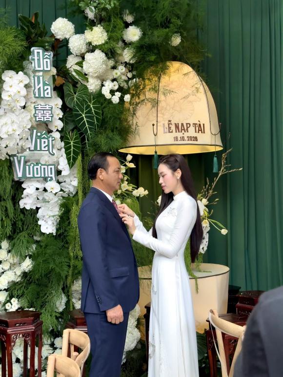 Hoa hậu Đỗ Thị Hà, Đỗ Hà, sao Việt