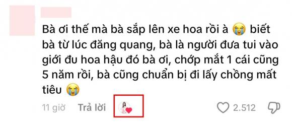Hoa hậu Đỗ Thị Hà, Đỗ Hà, sao Việt