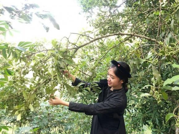 Hoa hồi, xuất khẩu hoa hồi