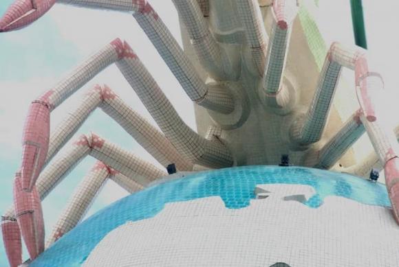 tôm cà mau 2 Cà Mau, con tôm Cà Mau, kiến thức