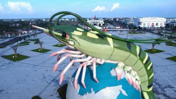 tôm cà mau 6 Cà Mau, con tôm Cà Mau, kiến thức