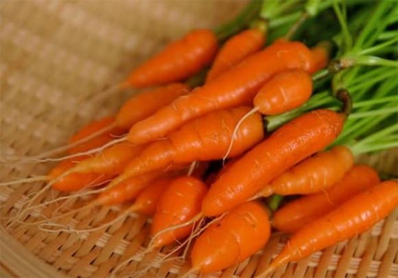 Loại củ chứa nhiều vi nhựa nhất, cà rốt, sức khỏe