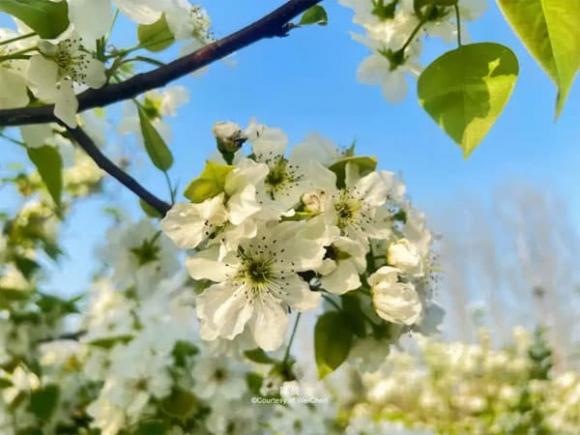 tuổi trung niên, cuộc sống, bạn bè