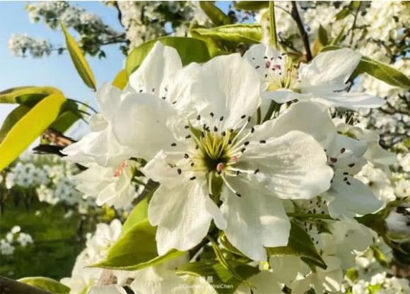 tuổi trung niên, cuộc sống, bạn bè