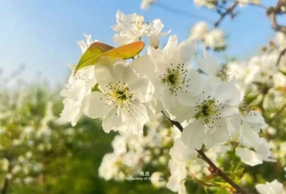 tuổi trung niên, cuộc sống, bạn bè