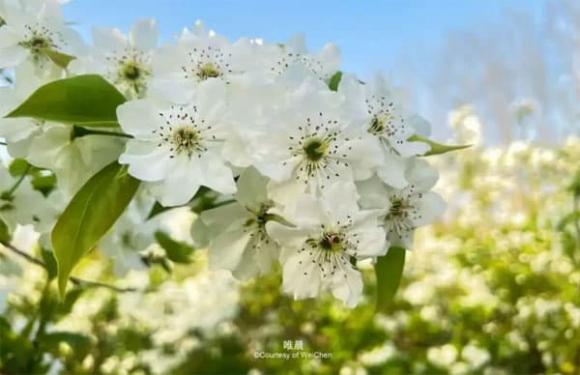 tuổi trung niên, cuộc sống, bạn bè