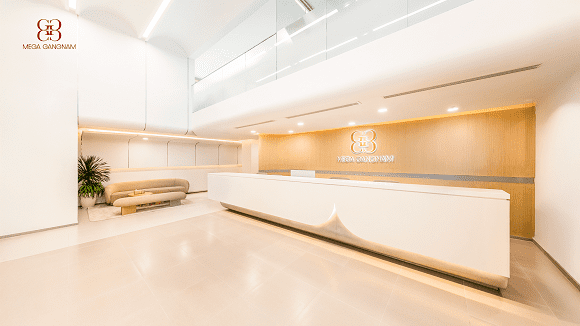 Mega Gangnam, Boutique Clinic