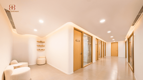 Mega Gangnam, Boutique Clinic