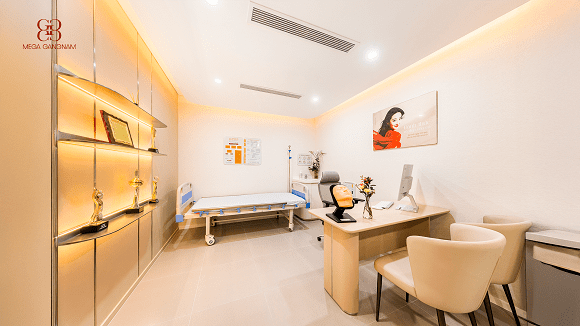 Mega Gangnam, Boutique Clinic