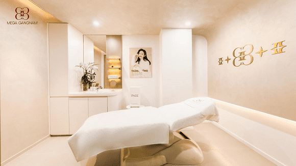 Mega Gangnam, Boutique Clinic