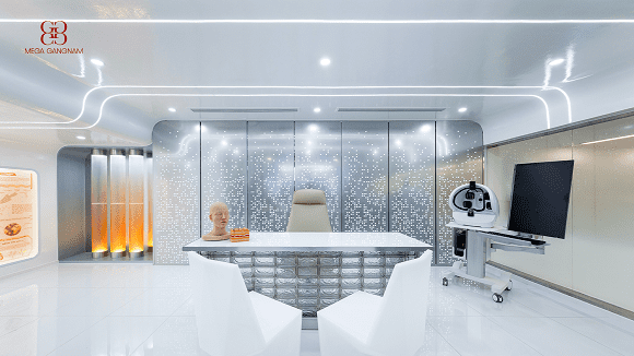 Mega Gangnam, Boutique Clinic