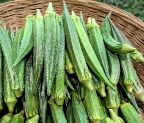 Tháng 10 đi chợ, người thông minh chỉ mua 5 loại rau sau, vừa không thuốc trừ sâu lại vừa rẻ 4 Rau tháng 10, cải cúc, đậu bắp