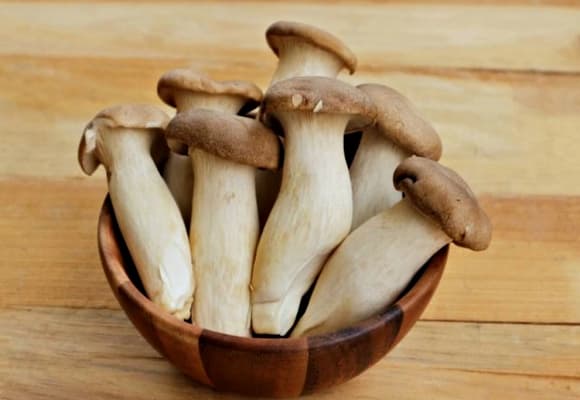 06-nam-dui-ga-2.jpg 0 nấm đùi gà, Loại nấm được ví như 'bào ngư chay', công dụng của nấm đùi gà