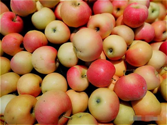 chon-tao-ngon (1).jpg 2 chon-tao-ngon (1).jpg 2