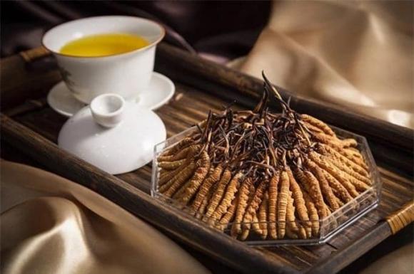 Loại 'cỏ dại' có giá lên đến 2,2 tỷ/kg, vô cùng quý hiếm, giá ngang căn chung cư nhưng không có mà bán 0 Đông trùng hạ thảo, công dụng của đông trùng hạ thảo