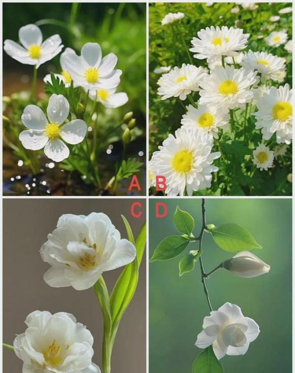 chon-hoa.jpg 0 Trắc nghiệm tâm lý
