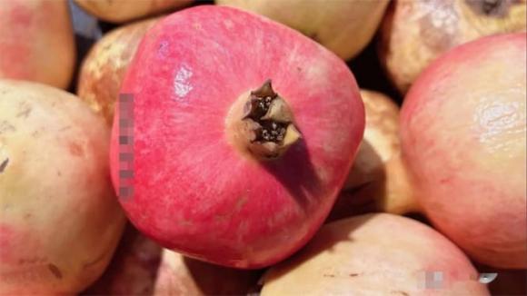 qua-luu-2.jpg 0 chọn lựu, kinh nghiệm chọn hoa quả