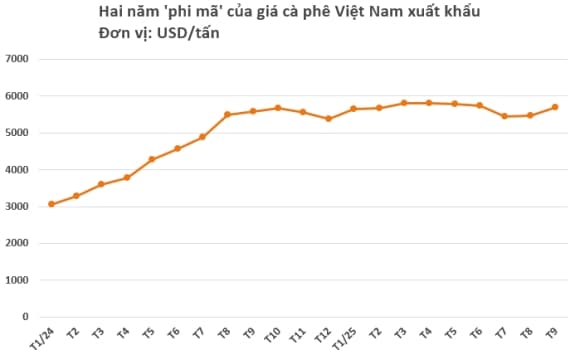 01-ca-phe-1.jpg 1 cà phê, xuất khẩu cà phê, kim ngạch xuất khẩu