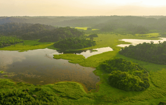 Vườn quốc gia Cát Tiên, khám phá Vườn quốc gia Cát Tiên