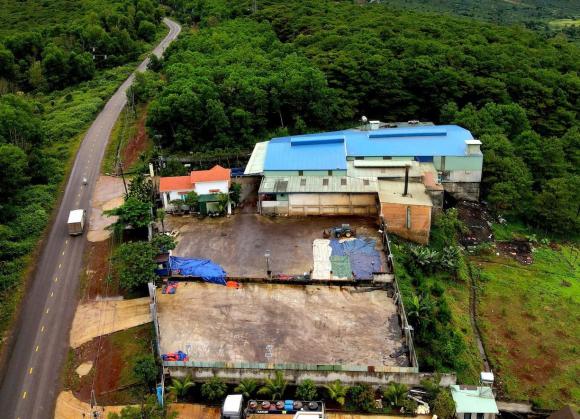 đại gia cà phê giả 9 sản xuất buôn bán hàng giả,  đại gia cà phê giả