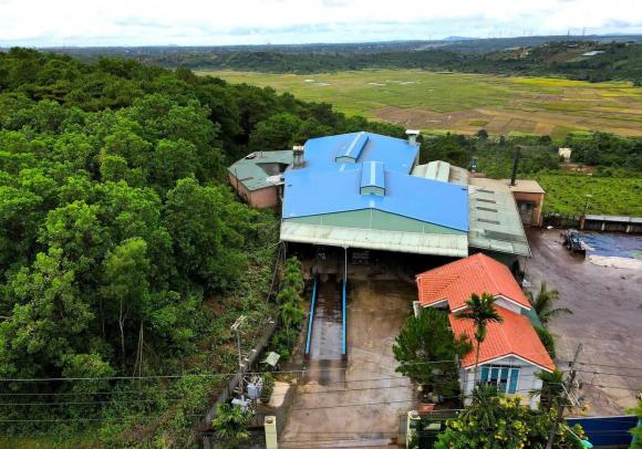 đại gia cà phê giả 7 sản xuất buôn bán hàng giả,  đại gia cà phê giả