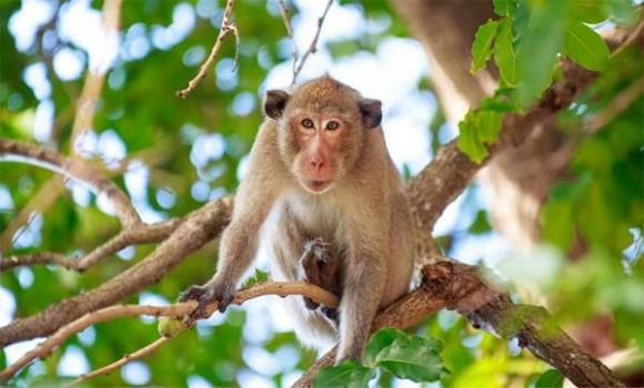 tu-vi-ngay-30-10-2025-cua-12-con-giap (1).jpg 0 Tử vi, con giáp, tử vi hàng ngày, tử vi ngày 30/10/2025