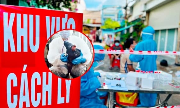 H9N2, đại dịch mới, chủng cúm gia cầm, virus cúm gia cầm