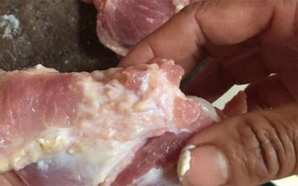 3-bo-phan-cuc-ban-tren-con-lon-chua-day-vi-khuan-va-doc-to-ban-re-nhu-cho-cung-tuyet-doi-dung-mua (1).jpg 0 Bộ phận cực bẩn trên con lợn, thực phẩm bẩn, sức khỏe