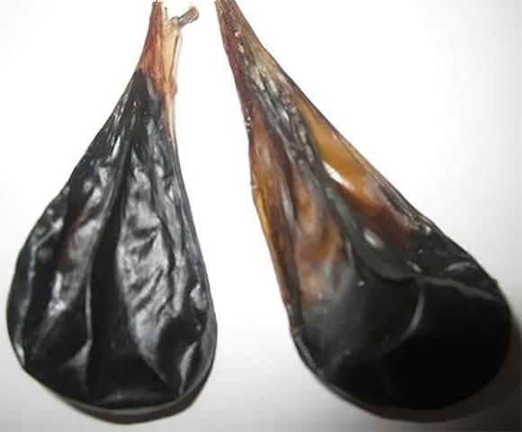 3-bo-phan-cuc-ban-tren-con-lon-chua-day-vi-khuan-va-doc-to-ban-re-nhu-cho-cung-tuyet-doi-dung-mua (1).jpg 0 Bộ phận cực bẩn trên con lợn, thực phẩm bẩn, sức khỏe