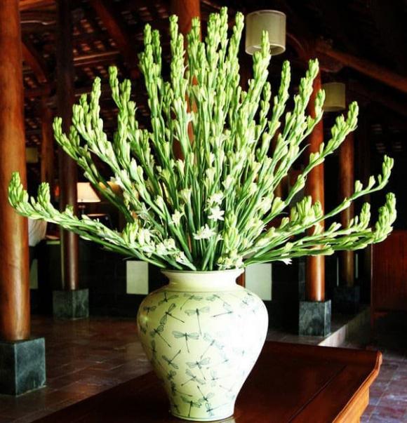 3-loai-hoa-dai-ky-tuyet-doi-khong-dat-len-ban-tho-(4).jpg 0 loại hoa đại kỵ đặt bàn thờ, phong thủy