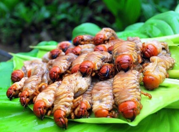 đặc sản sùng đất 4 đặc sản sùng đất, lộc trời từ lòng đất, kiến thức