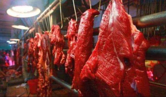 sức khỏe, chăm sóc sức khỏe, thịt gà lợn