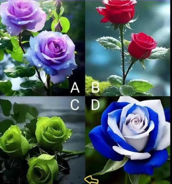 hoa-hong.jpg 0 Trắc nghiệm tâm lý