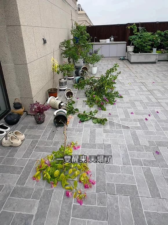 Penthouse, giấc mơ thượng lưu, vỡ mộng