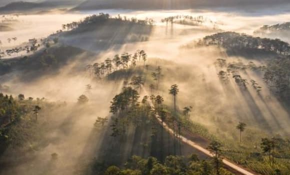 01-tiet-suong-giang-2025-2.jpg 1 Tiết Sương Giáng, phong thủy, tiết Lập Đông