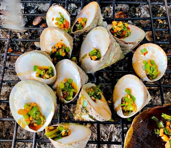 ốc vú nàng, ốc vú nàng Côn Đảo