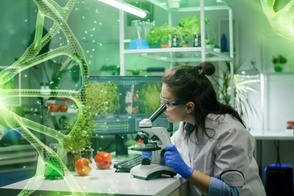 công việc lương cao dành cho người hướng nội 0 công việc lương cao dành cho người hướng nội, nghề kiếm nhiều tiền, nghề lương cao