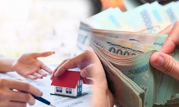 người mua đất bỏ cọc, kiến thức