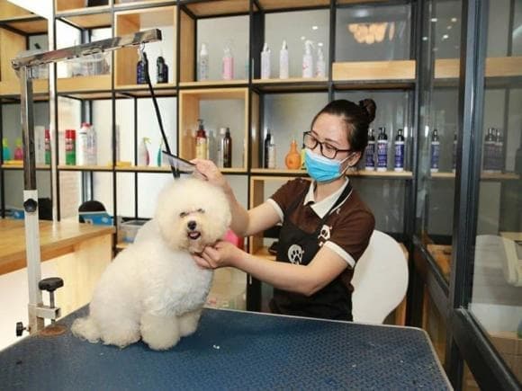 ngành kiếm nhiều tiền 2 ngành kinh doanh kiếm nhiều tiền, ngành hốt bạc