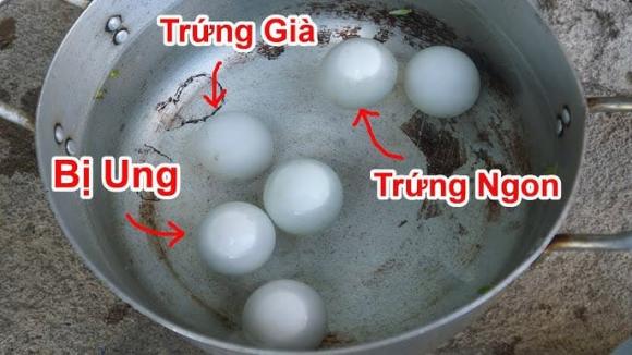 phân biệt trứng lộn già và non 2 phân biệt trứng vịt lộn già và non , kiến thức