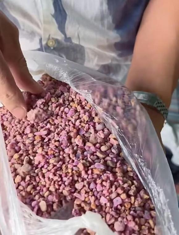 diễn viên Mạnh Trường, sao Việt